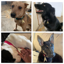 Load image into Gallery viewer, Pointed Starfleet Insignia Pet Tag