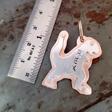 Load image into Gallery viewer, T Rex Pet tag