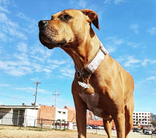 Load image into Gallery viewer, Baby Yoda Pet Tag