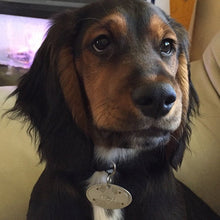 Load image into Gallery viewer, Bat superhero Pet Tag