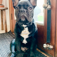 Load image into Gallery viewer, Bat superhero Pet Tag