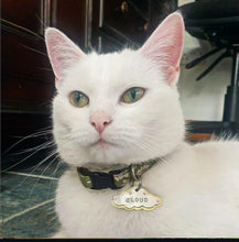 Load image into Gallery viewer, Cloud Pet tag