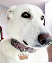 Load image into Gallery viewer, crown pet tag