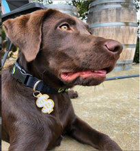 Load image into Gallery viewer, Dollar Sign Pet Tag