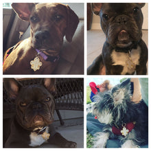 Load image into Gallery viewer, Fleur De Lis Pet Tag