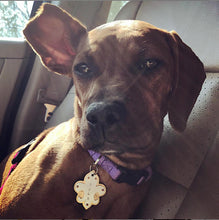 Load image into Gallery viewer, Fleur De Lis Pet Tag