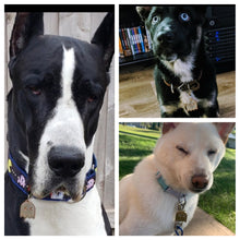 Load image into Gallery viewer, Video game ghost Pet Tag