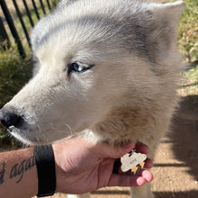 Load image into Gallery viewer, Cloud with Lightning Bolt Pet Tag