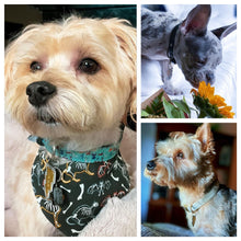 Load image into Gallery viewer, Lightning Bolt Pet Tag