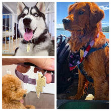 Load image into Gallery viewer, Lightning Bolt Pet Tag