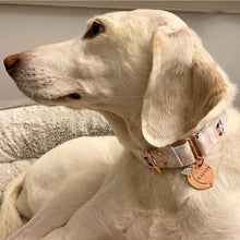 Load image into Gallery viewer, Peach Pet Tag
