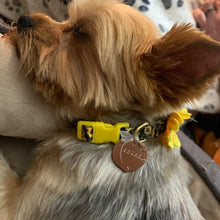 Load image into Gallery viewer, Peach Pet Tag