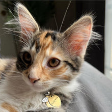 Load image into Gallery viewer, Peach Pet Tag