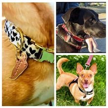 Load image into Gallery viewer, Pepper Pet Tag