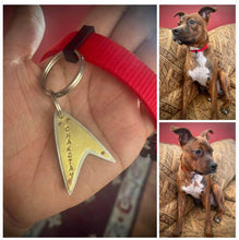 Load image into Gallery viewer, Pointed Starfleet Insignia Pet Tag