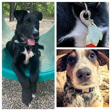 Load image into Gallery viewer, Rocket Ship Pet Tag
