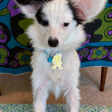 Load image into Gallery viewer, Sasquatch, Bigfoot Pet Tag