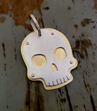 Load image into Gallery viewer, Skull Pet Tag