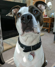 Load image into Gallery viewer, Skull Pet Tag