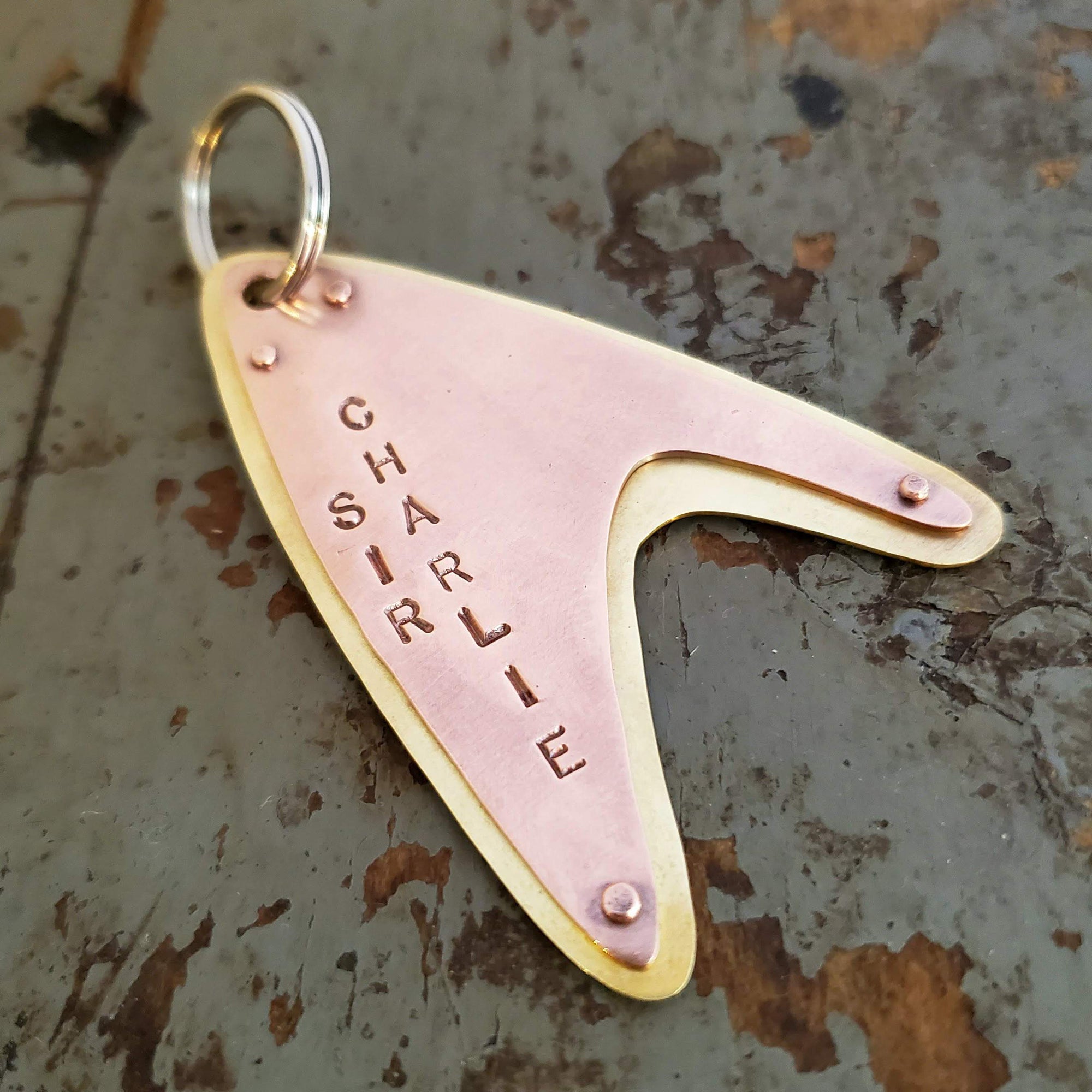 Star trek pet tag online