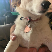 Load image into Gallery viewer, Strawberry Pet Tag