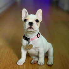 Load image into Gallery viewer, Wu Tang Pet Tag