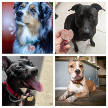 Load image into Gallery viewer, Wu Tang Pet Tag