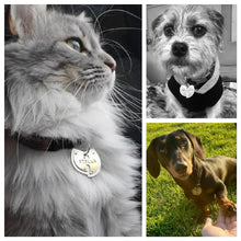 Load image into Gallery viewer, Wu Tang Pet Tag
