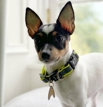Load image into Gallery viewer, Starfleet Insignia Pet Tag
