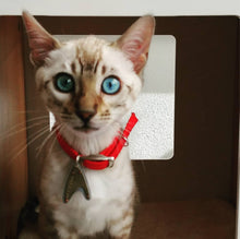 Load image into Gallery viewer, Starfleet Insignia Pet Tag
