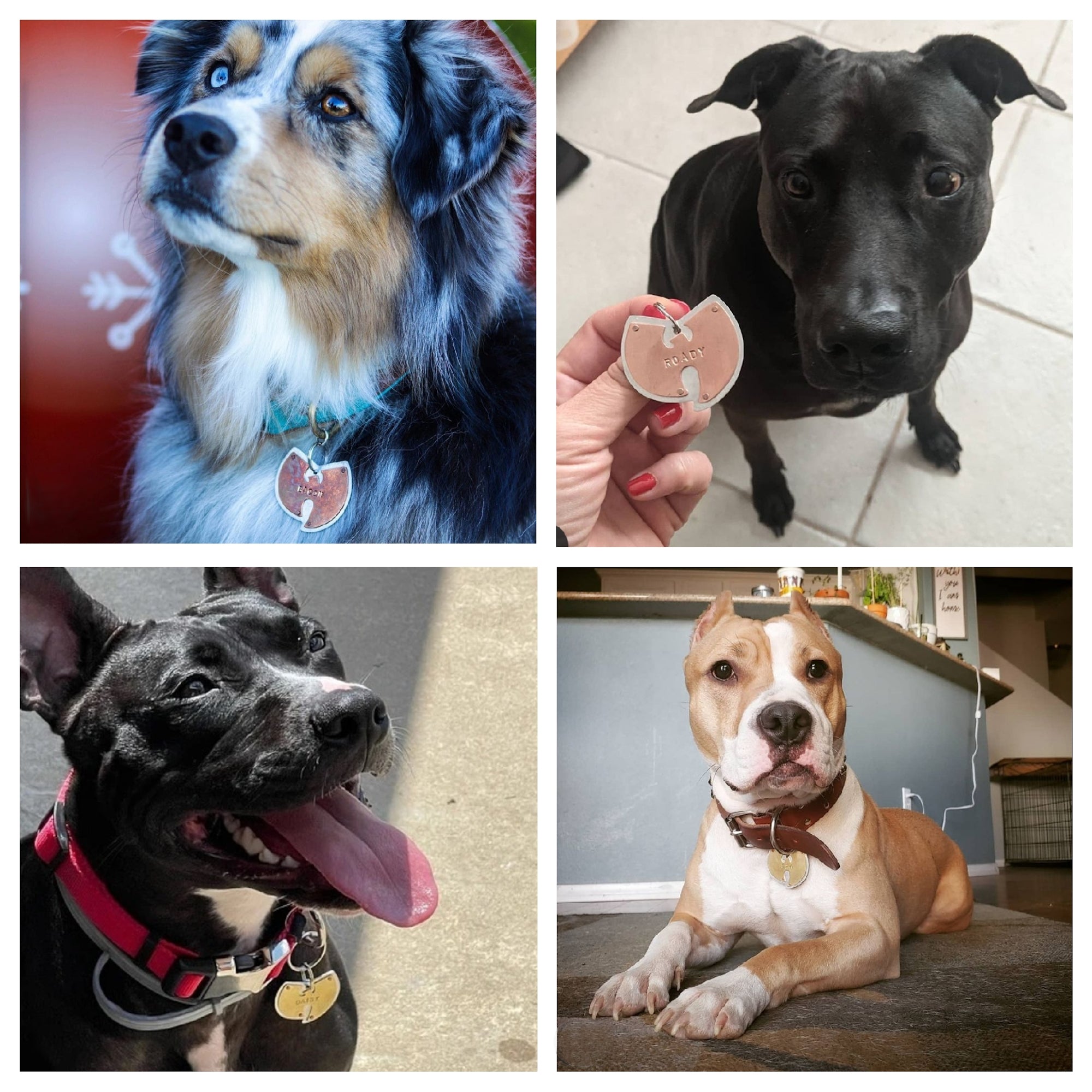 Wu Tang Pet Tag handmadepettag