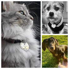 Load image into Gallery viewer, Wu Tang Pet Tag
